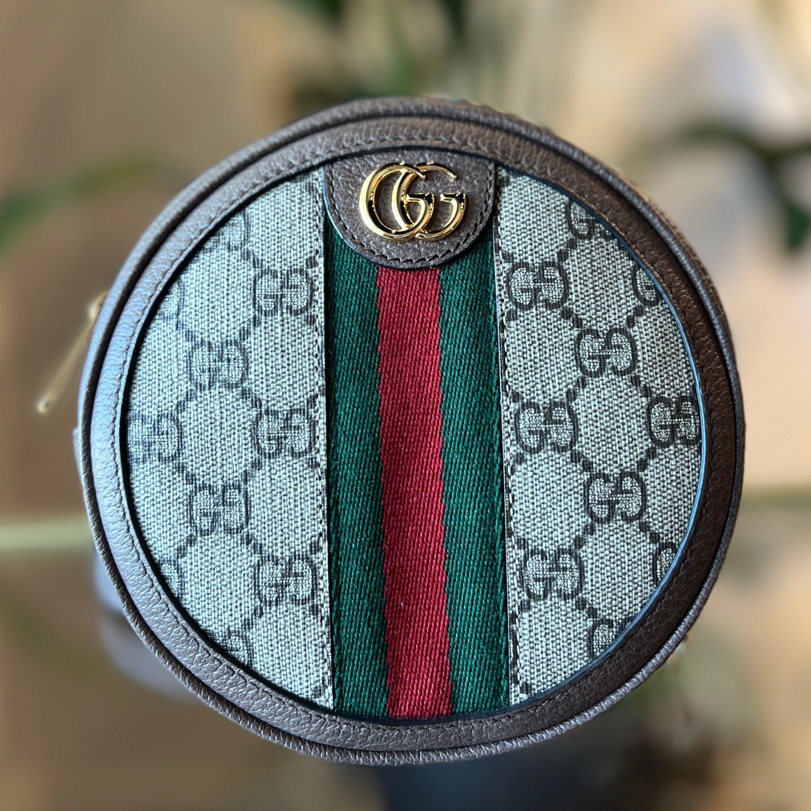 Gucci Gg Surpreme Ophidia Round Backpack